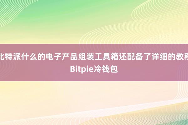 比特派什么的电子产品组装工具箱还配备了详细的教程Bitpie冷钱包