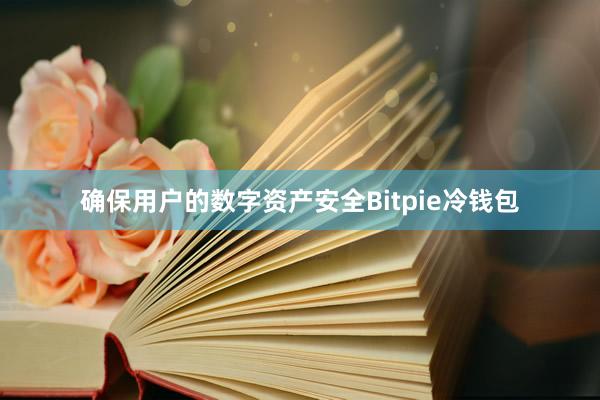 确保用户的数字资产安全Bitpie冷钱包