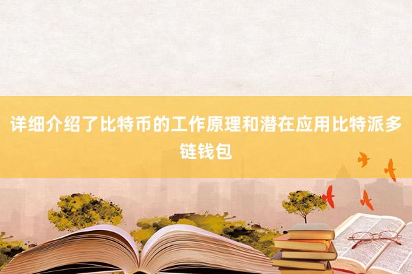 详细介绍了比特币的工作原理和潜在应用比特派多链钱包