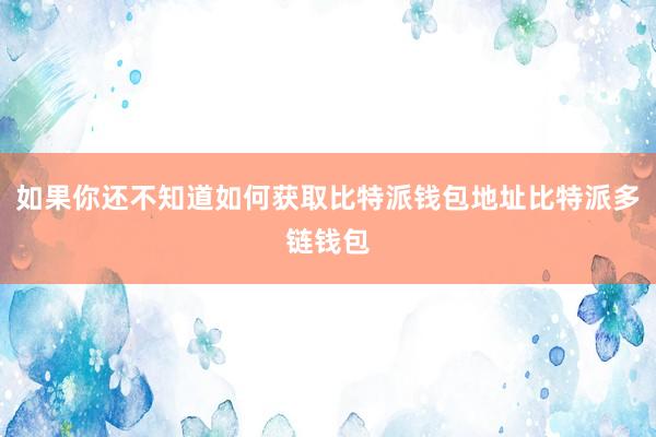 如果你还不知道如何获取比特派钱包地址比特派多链钱包