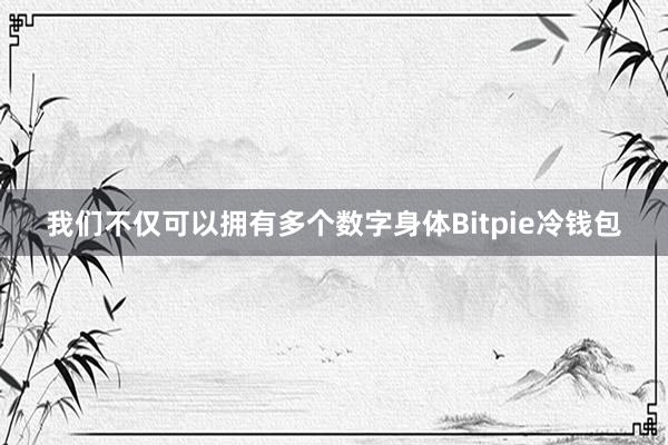 我们不仅可以拥有多个数字身体Bitpie冷钱包