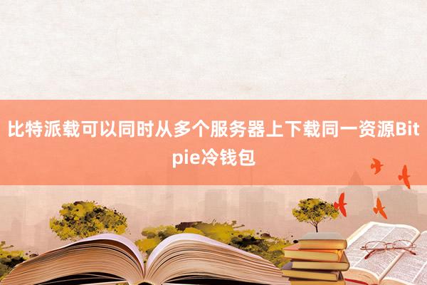 比特派载可以同时从多个服务器上下载同一资源Bitpie冷钱包