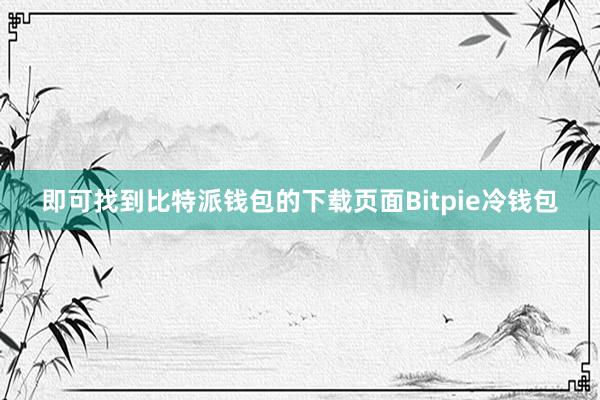 即可找到比特派钱包的下载页面Bitpie冷钱包