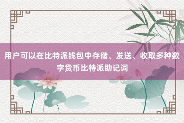 用户可以在比特派钱包中存储、发送、收取多种数字货币比特派助记词