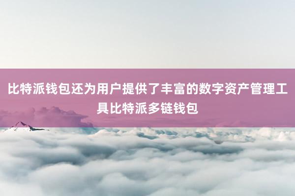 比特派钱包还为用户提供了丰富的数字资产管理工具比特派多链钱包