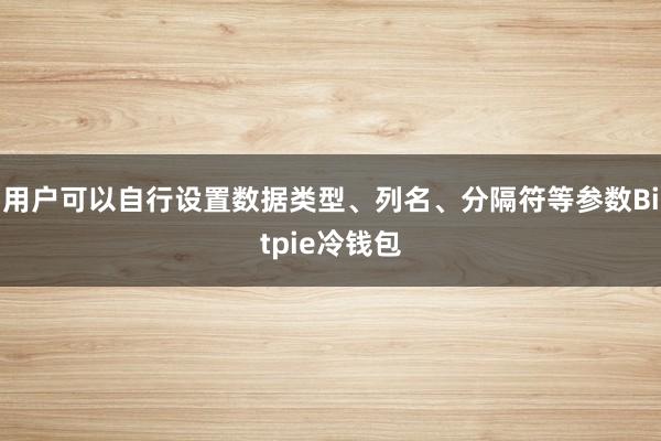 用户可以自行设置数据类型、列名、分隔符等参数Bitpie冷钱包