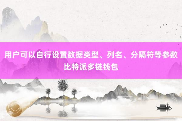 用户可以自行设置数据类型、列名、分隔符等参数比特派多链钱包