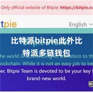 比特派bitpie此外比特派多链钱包