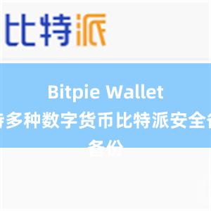 Bitpie Wallet支持多种数字货币比特派安全备份