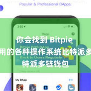 你会找到 Bitpie 钱包适用的各种操作系统比特派多链钱包