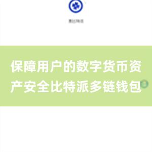 保障用户的数字货币资产安全比特派多链钱包