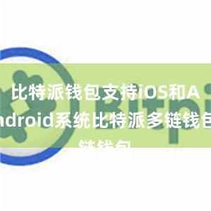 比特派钱包支持iOS和Android系统比特派多链钱包