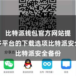 比特派钱包官方网站提供了多平台的下载选项比特派安全备份