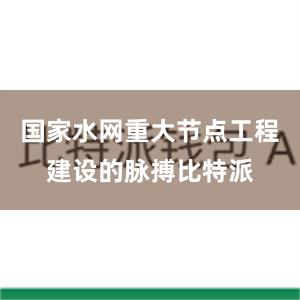 国家水网重大节点工程建设的脉搏比特派